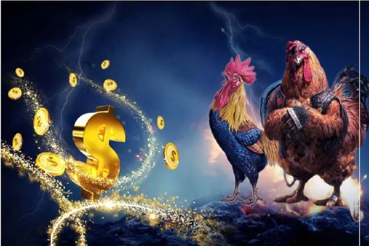 Bí Quyết Cách Chơi Đá Gà WS168 Tại MMLIVE Tăng Tỷ Lệ Thắng