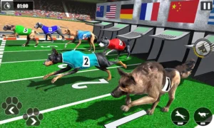 Hướng Dẫn Chơi Game Đua Chó Nhanh Tại MMLIVE Hiệu Quả Nhất