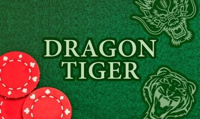 Bí Kíp Thắng Lớn Trò Chơi Dragon Tiger Tại MMLIVE Cho Tân Thủ