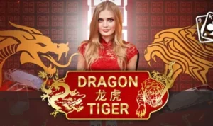 Bí Kíp Thắng Lớn Trò Chơi Dragon Tiger Tại MMLIVE Cho Tân Thủ