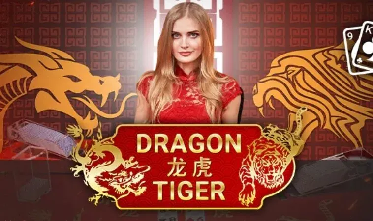 Bí Kíp Thắng Lớn Trò Chơi Dragon Tiger Tại MMLIVE Cho Tân Thủ