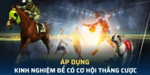 Khám Phá Cá Cược Thể Thao Ảo MMLIVE Dẫn Đầu Xu Hướng Giải Trí